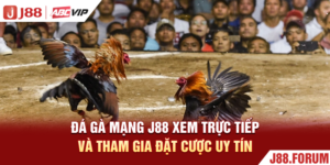 Đá Gà Mạng J88 - Xem Trực Tiếp Và Tham Gia Đặt Cược Uy Tín