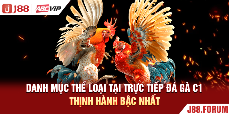 Trực Tiếp Đá Gà C1 - Sới Đấu Đỉnh Cao Săn Thưởng Gay Cấn Danh mục thể loại tại trực tiếp đá gà C1 thịnh hành bậc nhất