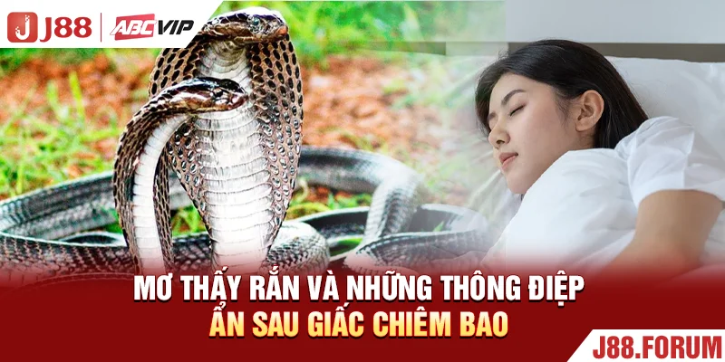 Mơ thấy rắn và những thông điệp ẩn sau giấc chiêm bao