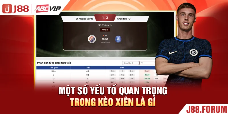 Kèo Xiên Là Gì? Cách Đọc & Kinh Nghiệm Dự Đoán Chuẩn Xác Một số yếu tố quan trọng trong kèo xiên là gì