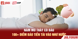 Nằm Mơ Thấy Có Bầu - 100+ Điềm Báo Tiền Tài Vào Như Nước