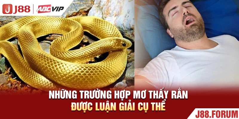 Những trường hợp mơ thấy rắn được luận giải cụ thể
