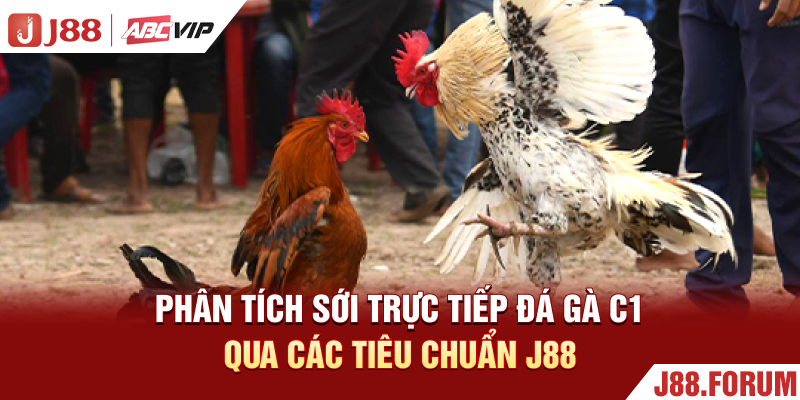 Trực Tiếp Đá Gà C1 - Sới Đấu Đỉnh Cao Săn Thưởng Gay Cấn Phân tích sới trực tiếp đá gà C1 qua các tiêu chuẩn J88