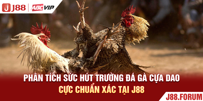 Phân tích sức hút trường đá gà cựa dao cực chuẩn xác tại J88